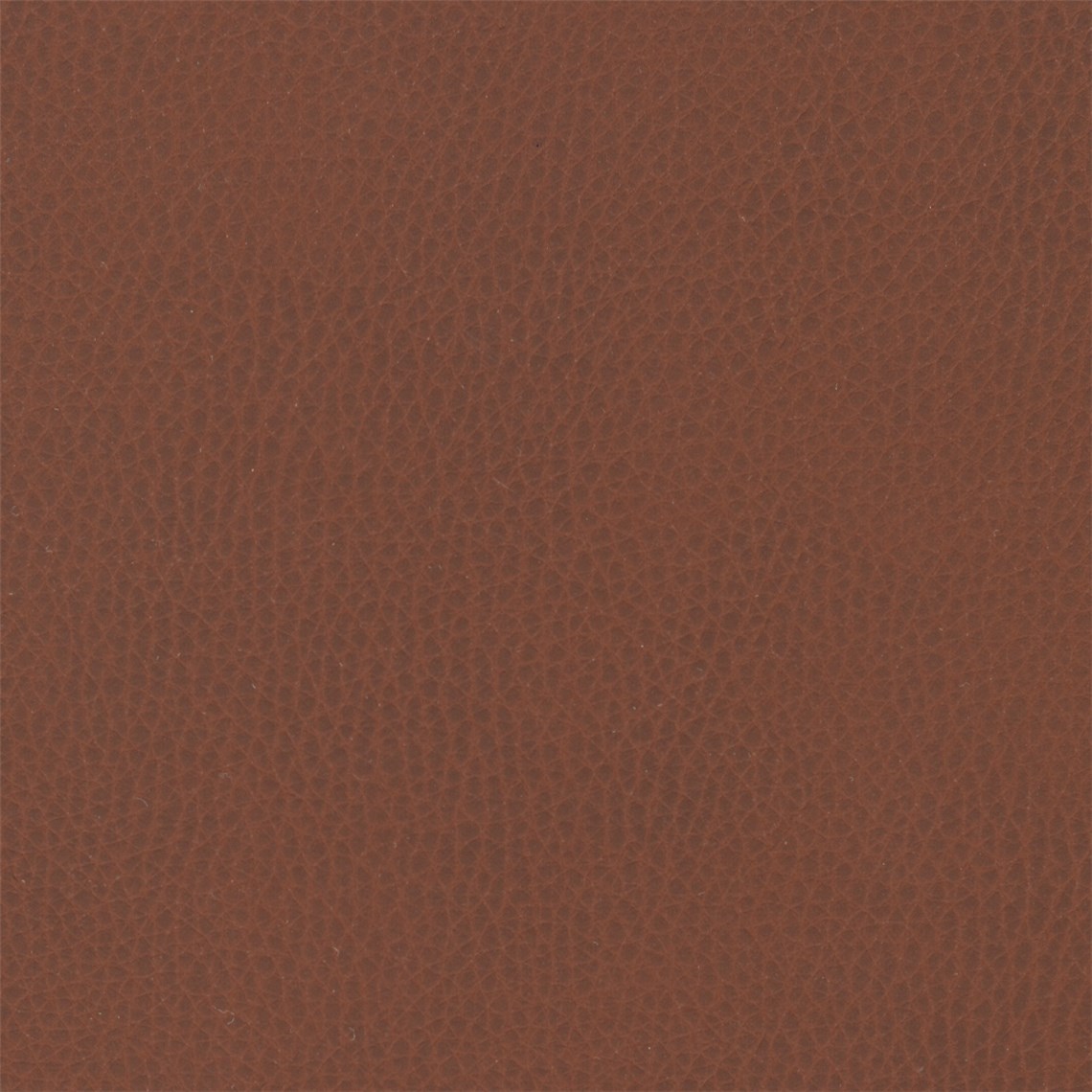 Sunnyvale_Duane