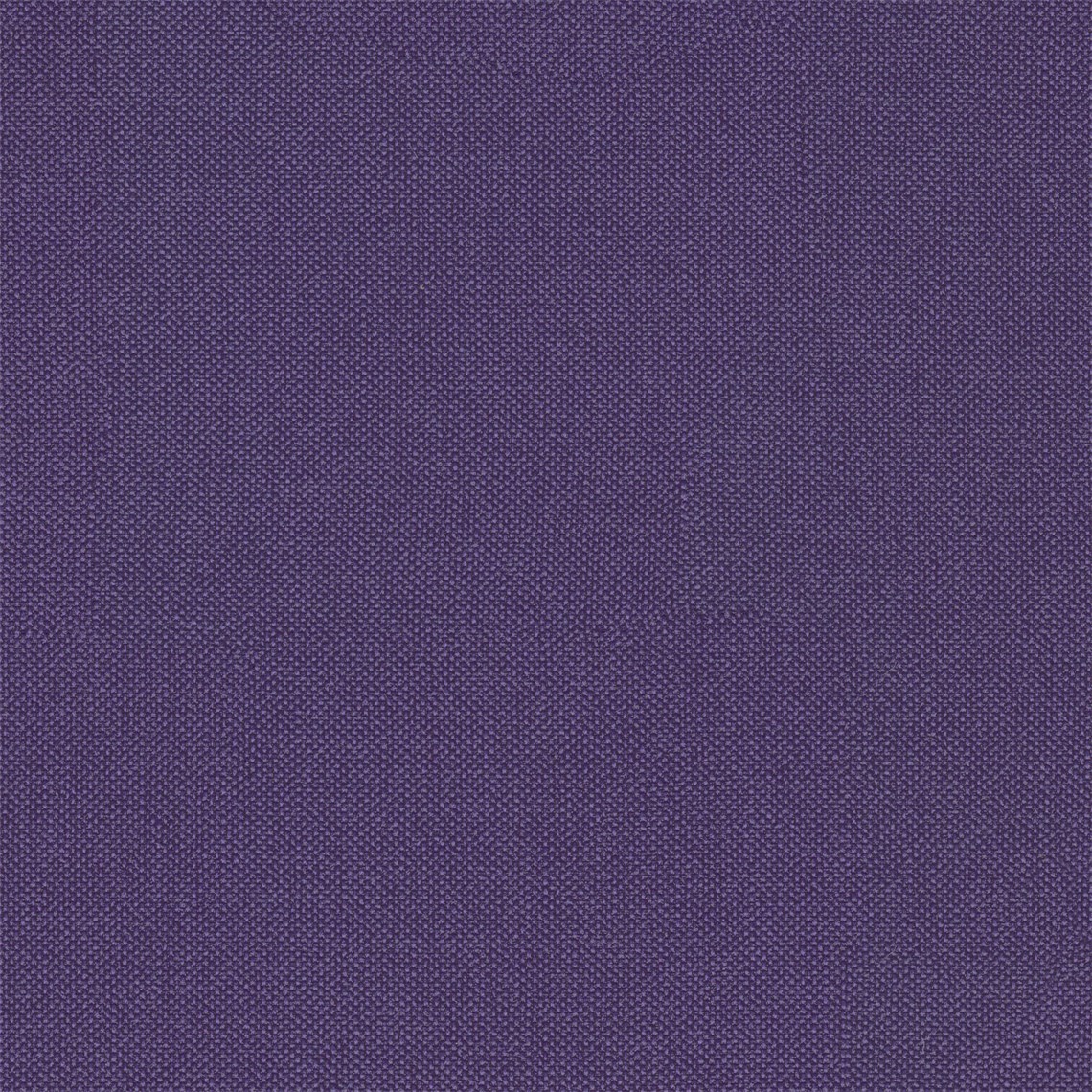 Tailor_Made_Aubergine