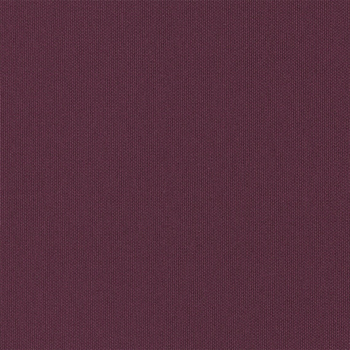 Tailor_Made_Berry