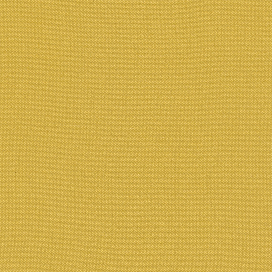 Tailor_Made_Canary