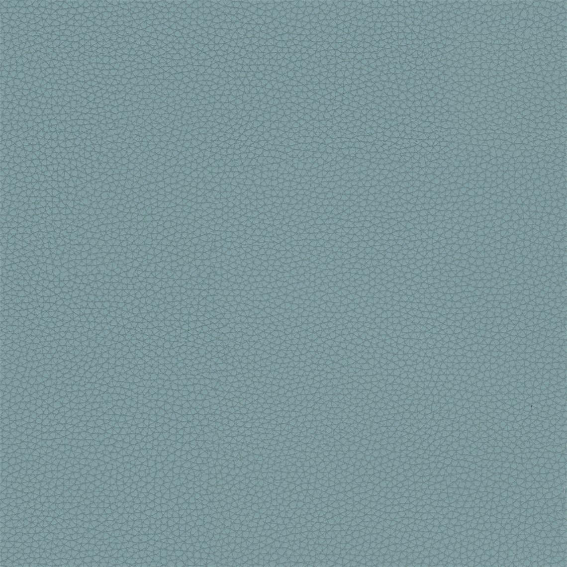 Telfair_Aqua