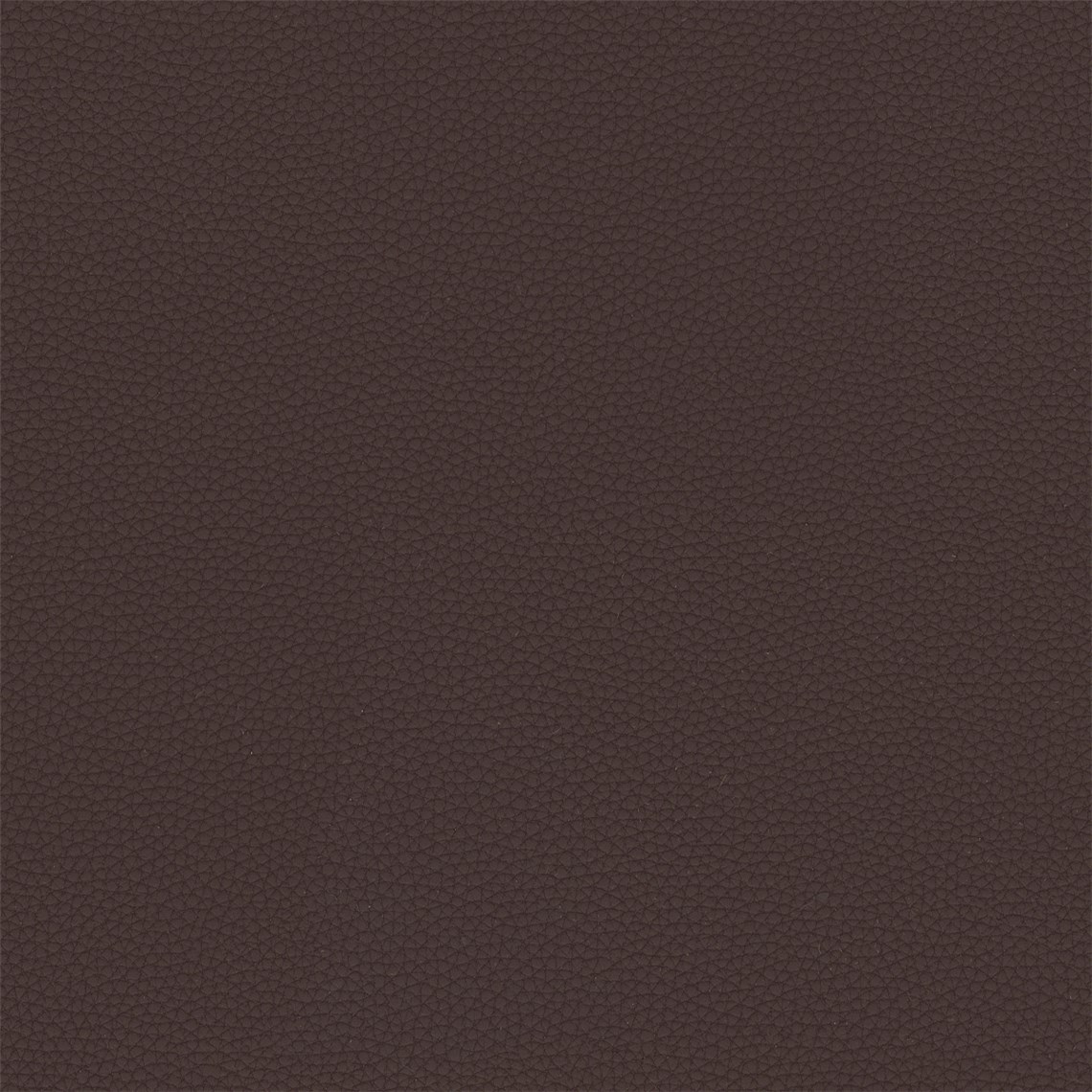 Telfair_Aubergine