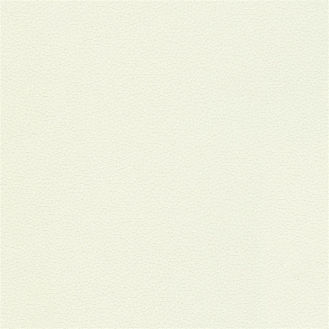 Telfair_Dove