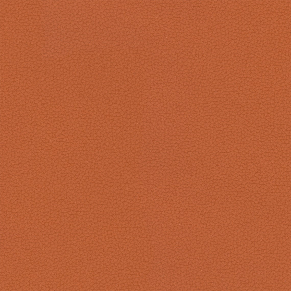 Telfair_Emberglow
