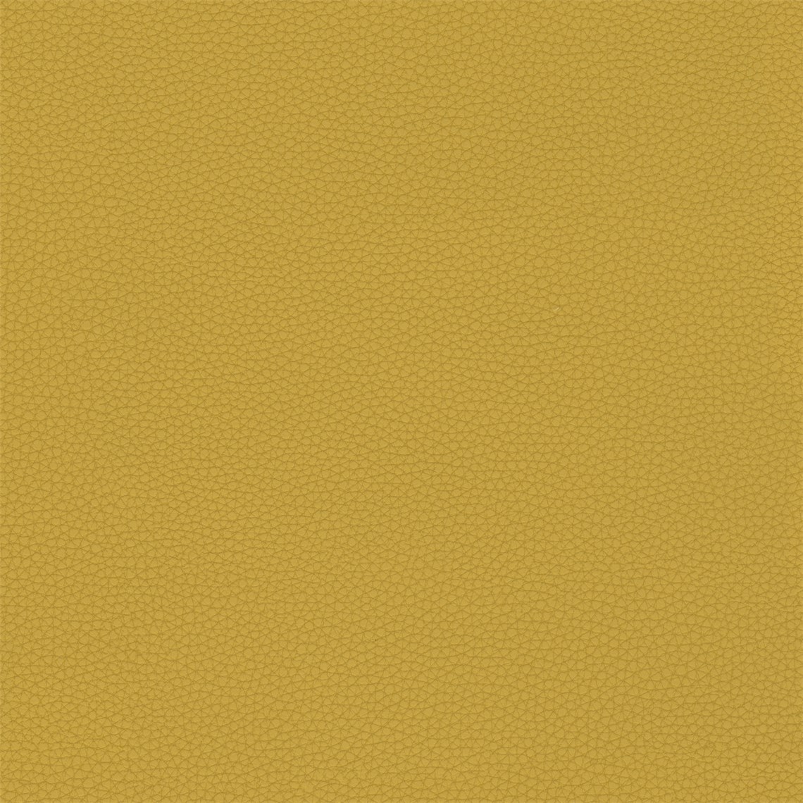 Telfair_Goldenrod