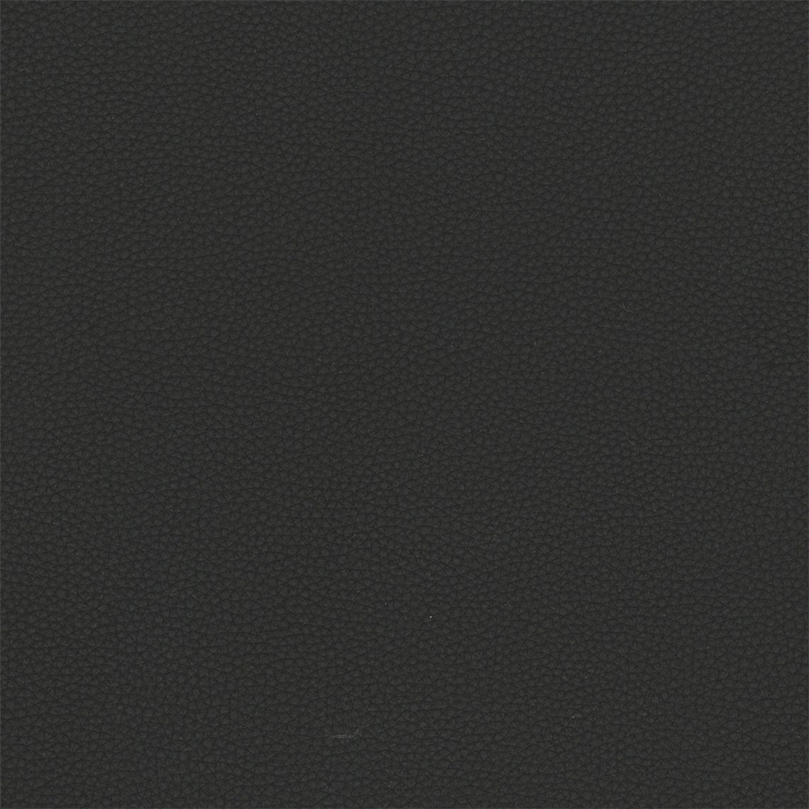 Telfair_Pitch