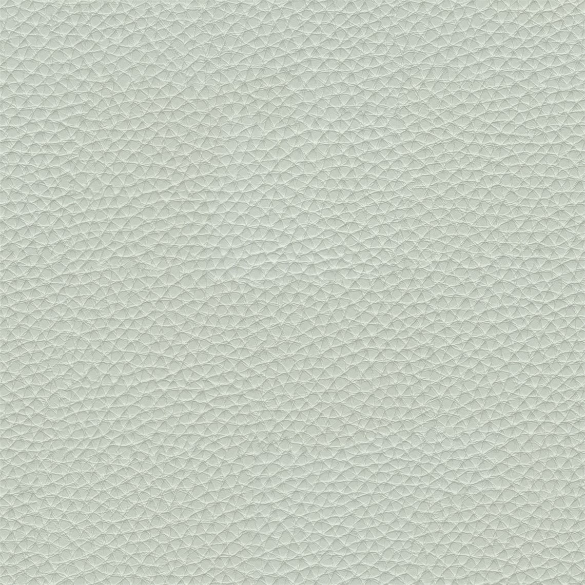 Thoroughbred_Iceberg