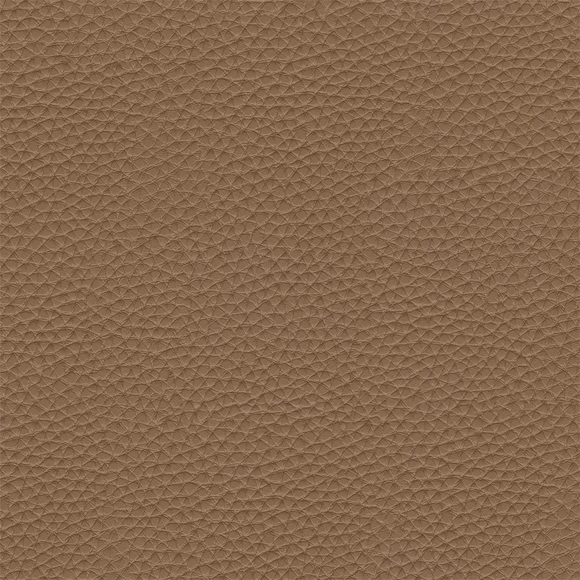 Thoroughbred_Rustic