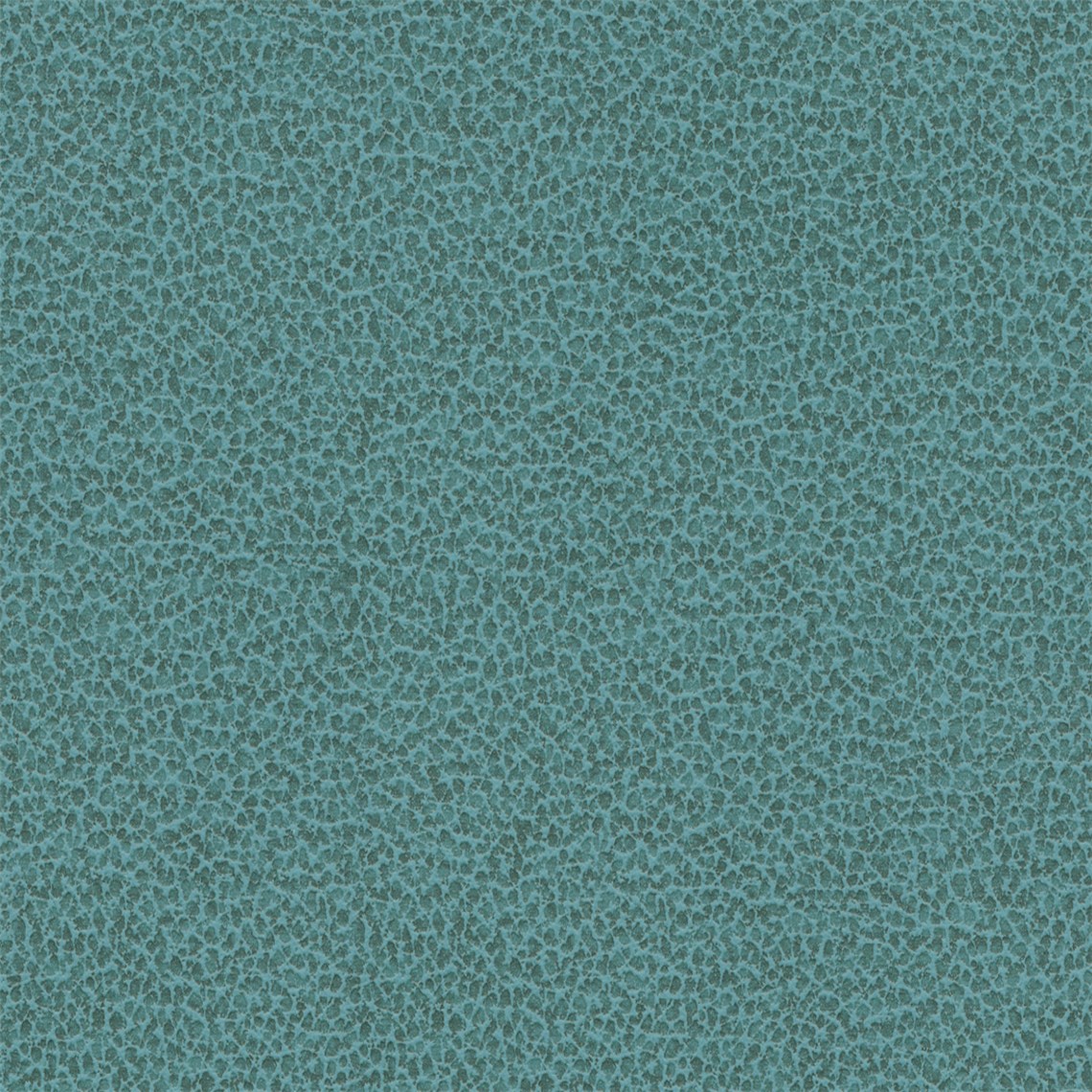 Tuatara_Aqua
