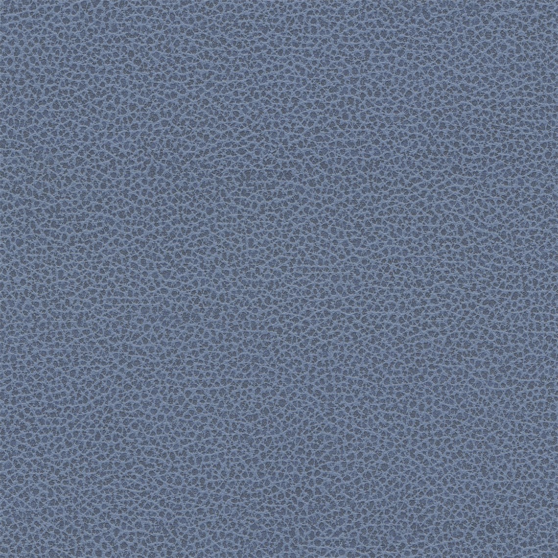 Tuatara_Harbor