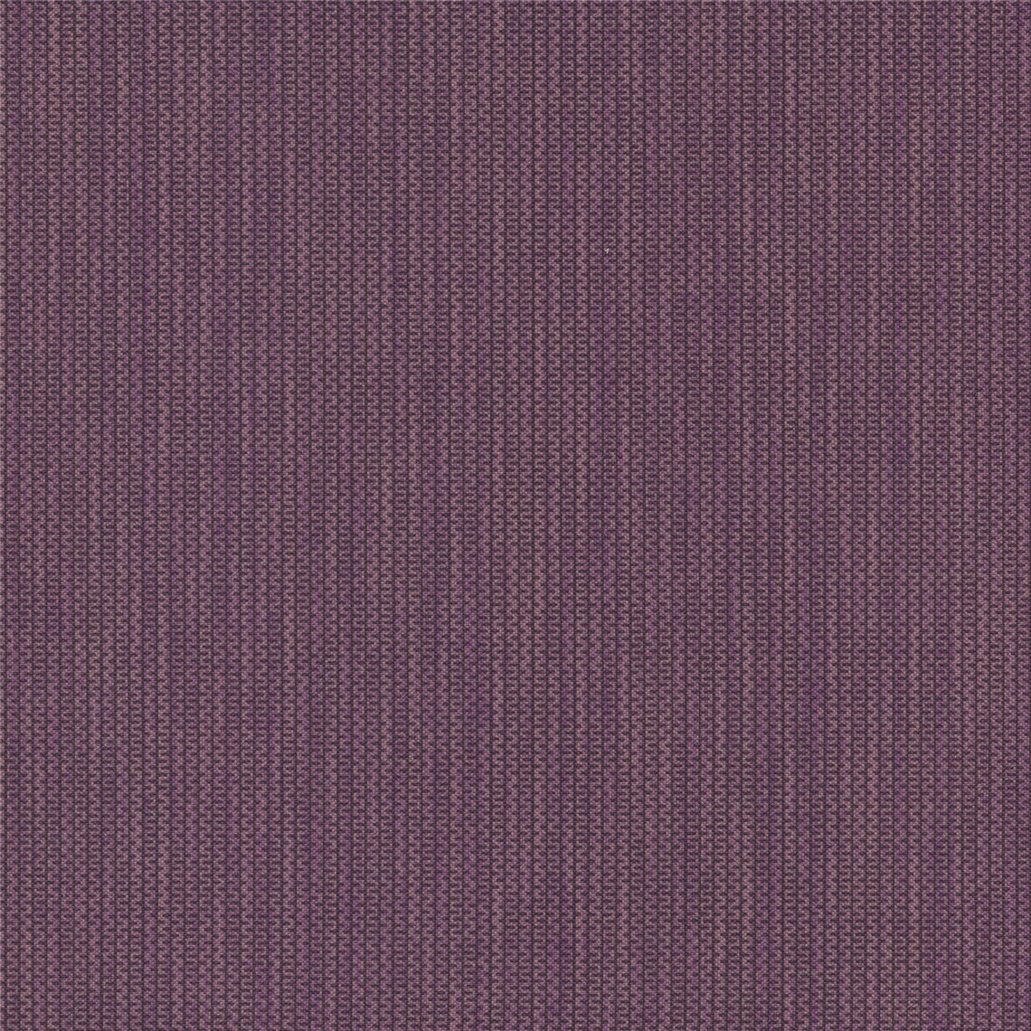 Unwind_Elderberry