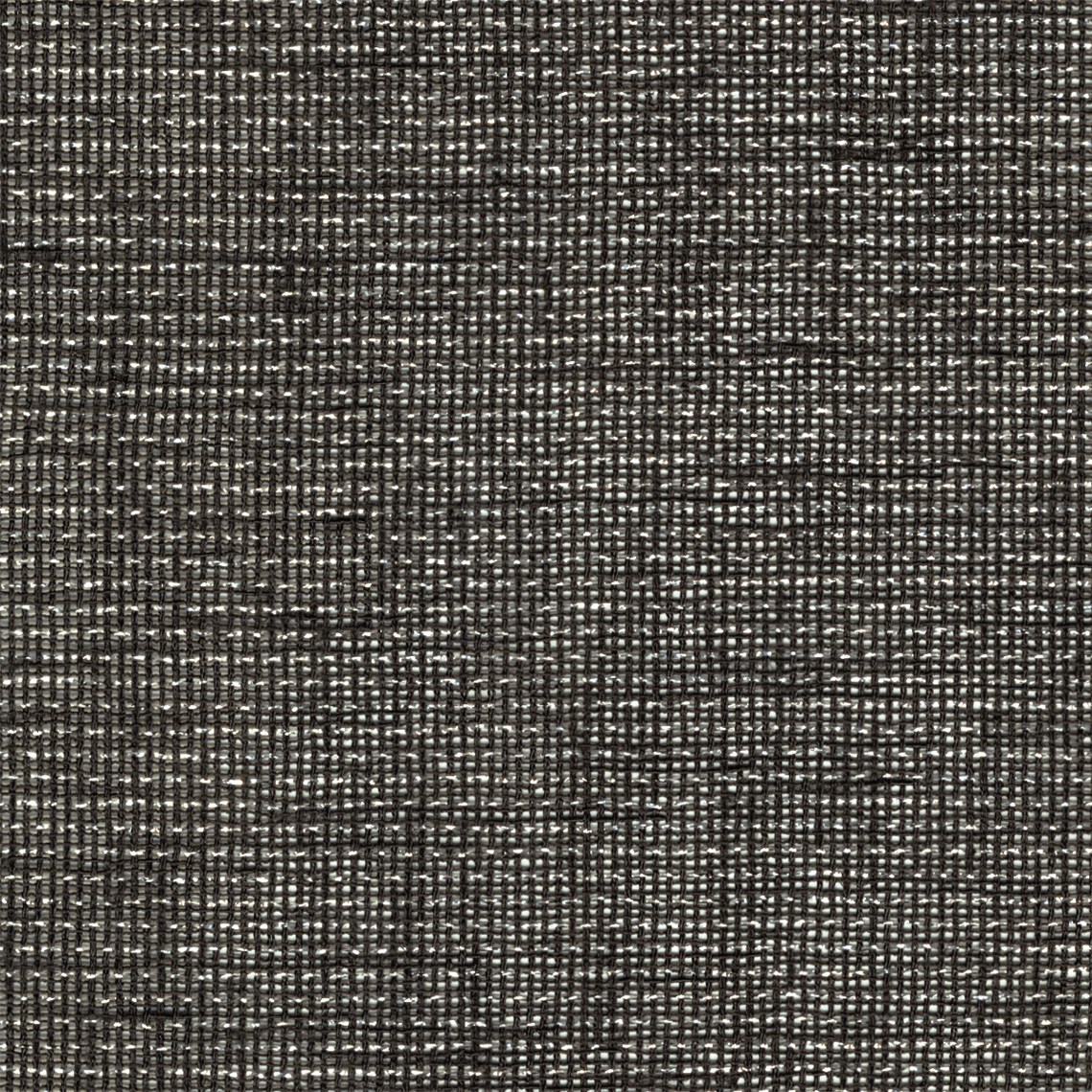 Vegas_Black_Pearl