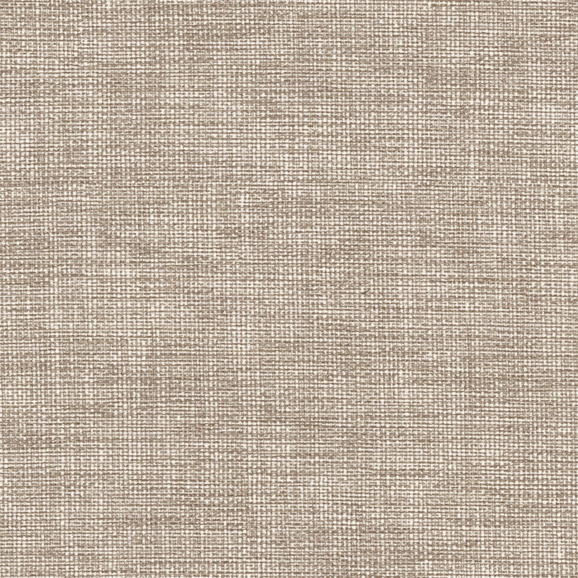 Whitehall_Fawn