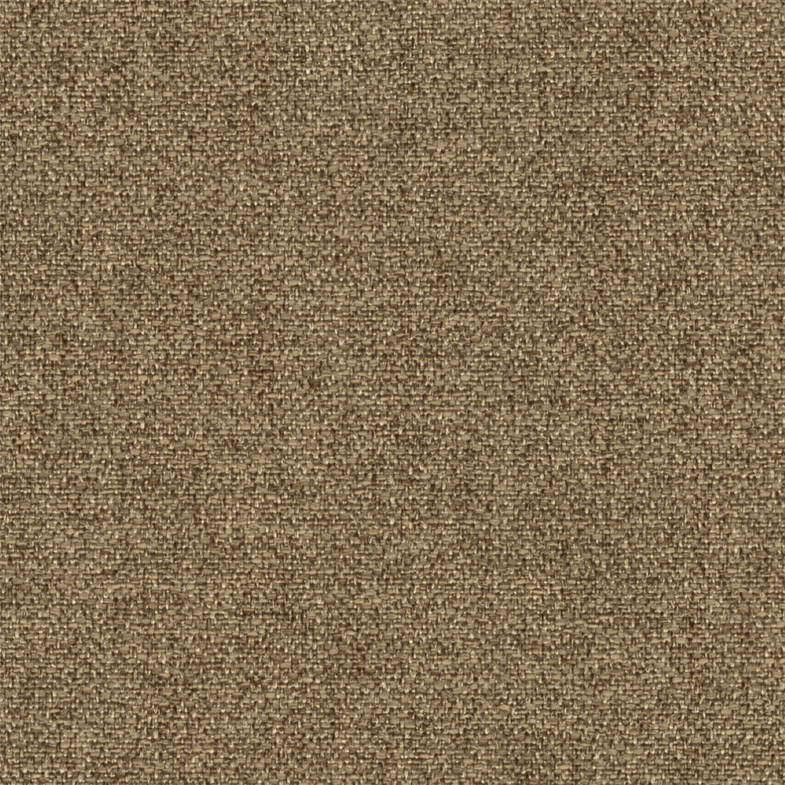 Winston_Acorn