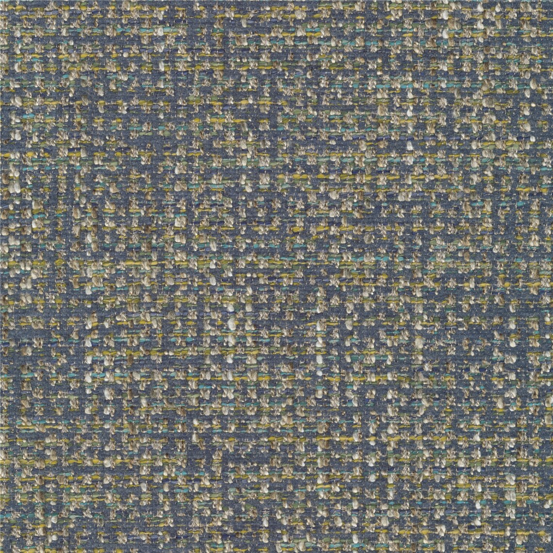 Wisteria_Blueberry