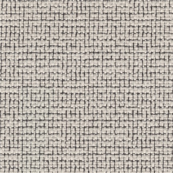 Apella_Blanc