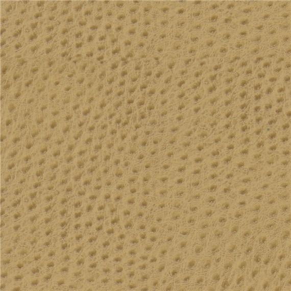 Big Bird Goldfinch | Architex