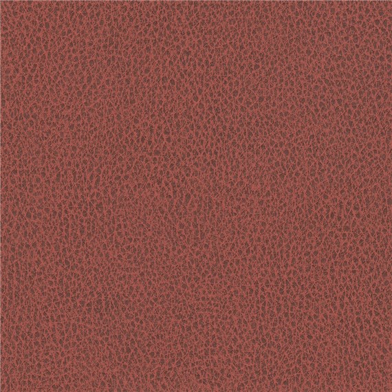 Biograin_Campfire