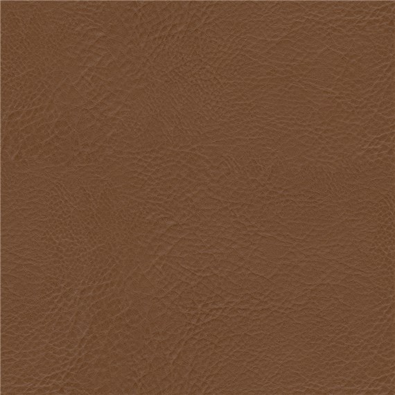 Lone_Star_Chestnut