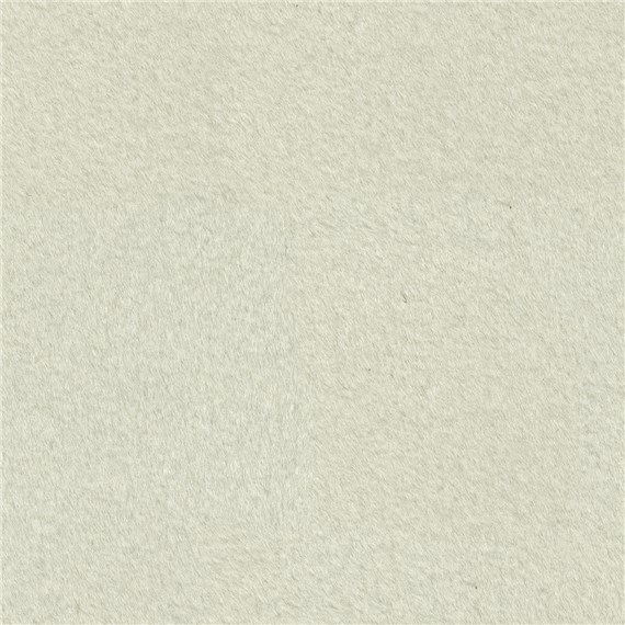 Reel_Alpaca_White