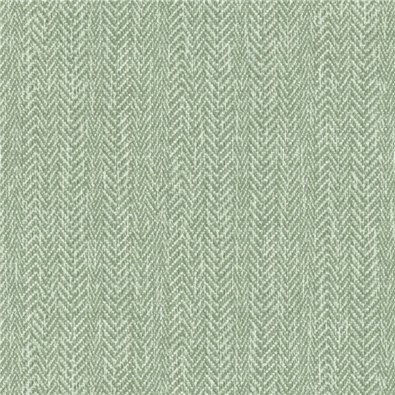 Regent_Olive