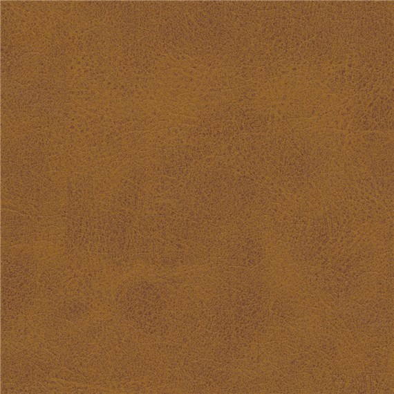 Steed_Amaretto