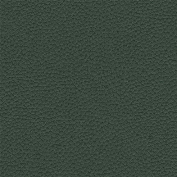 Thoroughbred_Juniper