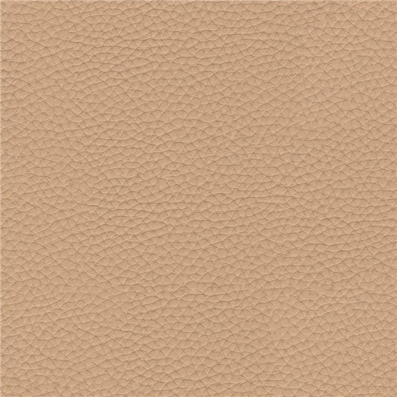Thoroughbred_Petal
