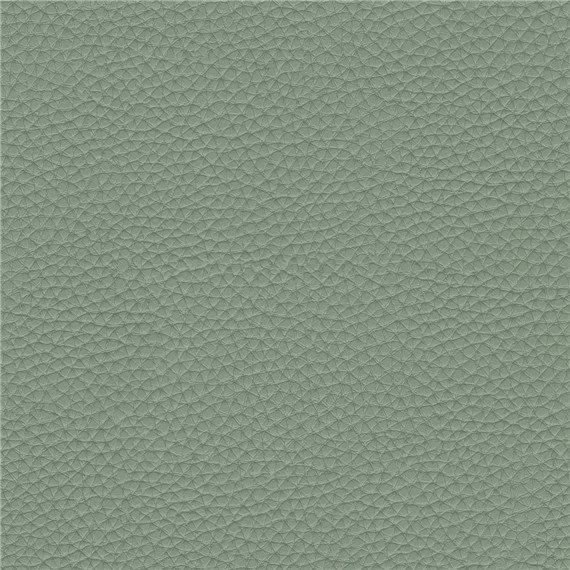 Thoroughbred_Sage