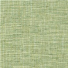 Abaca
