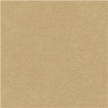 Alcantara