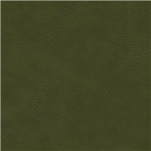 Britannia - Olive