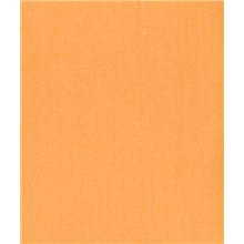 Colori - Squash