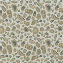Geode