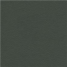 Leatherly