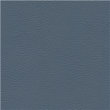 Leatherly - Tidal Blue