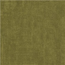 Northampton - Green