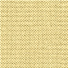 Poplin