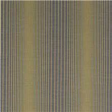 Precise - Verdite