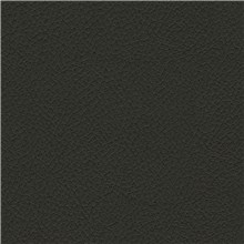Reel Leather - Onyx