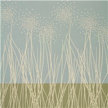 Rx 6001 - Seed