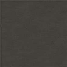 Tannery